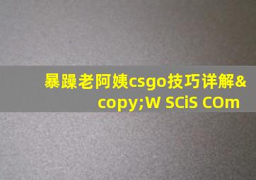 暴躁老阿姨csgo技巧详解©W SCiS COm